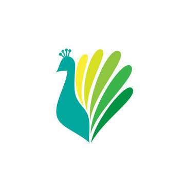 Colored stylized silhouette of a peacock 