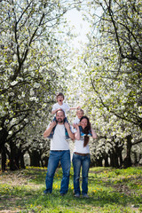 Fototapeta premium Young happy family in cherry blossom spring garden
