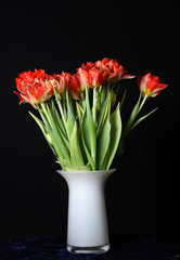 Red tulips in a vase