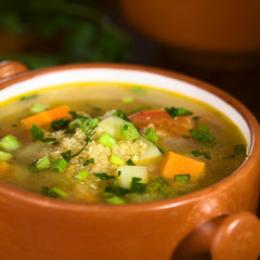 Vegetarian quinoa soup with carrot, potato, celery, leek, tomato