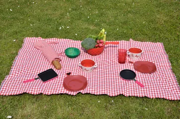 Kussenhoes Lunch set on a lawn © branislav