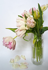 Pale pink tulips in a glass pitcher
