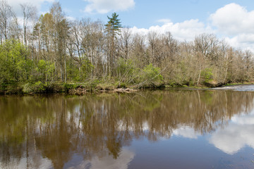 scenic reflections of trees and clouds in water