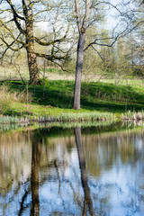 scenic reflections of trees and clouds in water