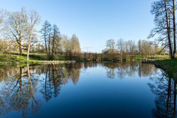 scenic reflections of trees and clouds in water