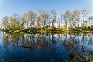 scenic reflections of trees and clouds in water