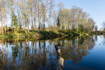 scenic reflections of trees and clouds in water