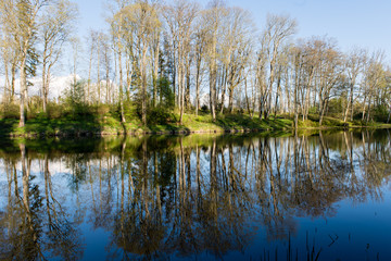 Fototapeta na wymiar scenic reflections of trees and clouds in water