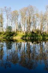 scenic reflections of trees and clouds in water