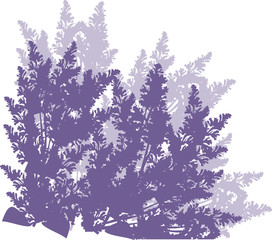 many lilac flowers silhouettes illustration