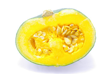 カボチャ　断面