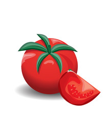 Tomato vector
