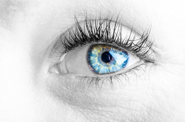 eyes and long eyelashes