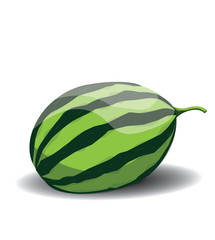 Whole watermelon