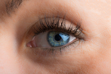 eyes and long eyelashes