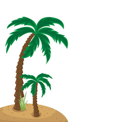 Palm trees