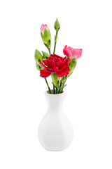 Red carnation in white vase