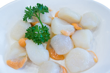 Raw scallop with parsley