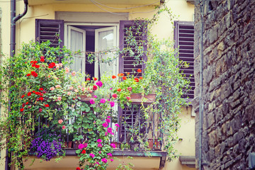 Fototapeta na wymiar flowers in a vintage balcony in Florence