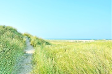 Naturlandschaft mit Blick auf die See