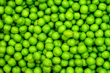 Green apricot background