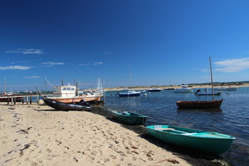 Cap Ferret 3