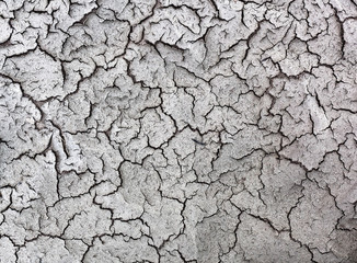 Cracked Land Background