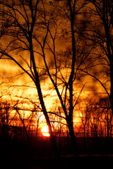 Naklejka premium Sunset background