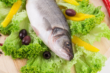 Composition of fresh seabass.