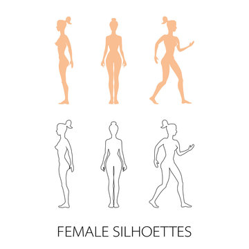  female silhouettes front, back and side. Vector illustration