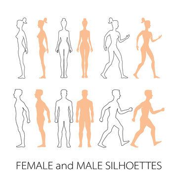 Male female silhouettes front, back and side. Vector