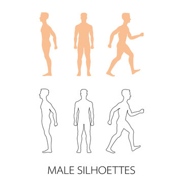 Male silhouettes front, back and side. Vector illustration