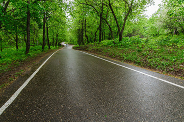 Дорога после дождя