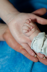 mother's, father's and baby hand