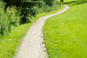 green path 