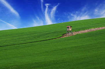 Rural landscape