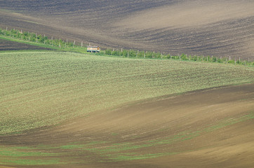 Fototapeta premium Rural landscape