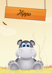 hippo