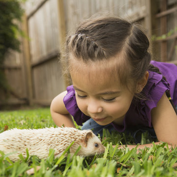 A young girl on the grass looking at a small hedgehog. 