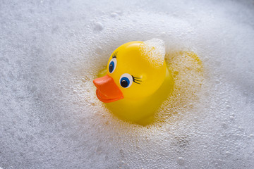 Yellow rubber duck floating in soap suds