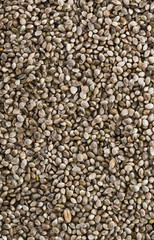 Hemp Seed background