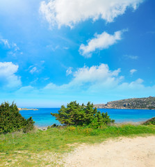 vegetation by Capo Testa coastline