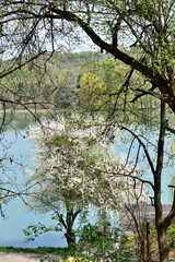 view of the mountain lake of the park