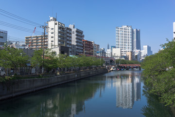 Obraz premium 大岡川沿い風景