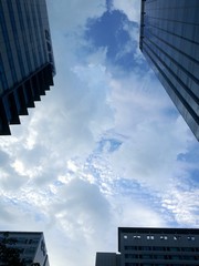 높은 건물 사이로 보이는 하늘