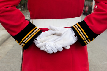 hands of a royal guard wearing white gloves