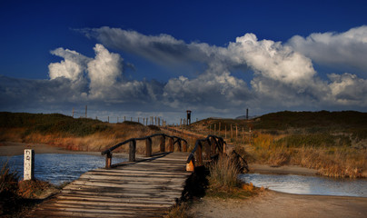 antico ponte in legno che attraverso lo stagno