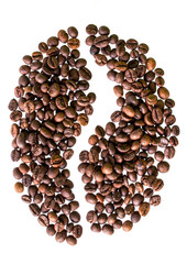 Coffee beans are sorted coffee beans on white