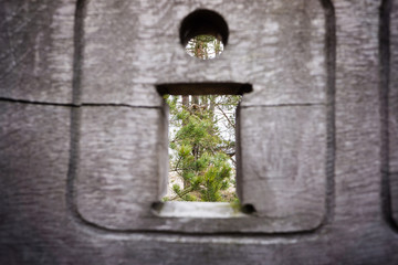 wooden plank with splinters and cracks
