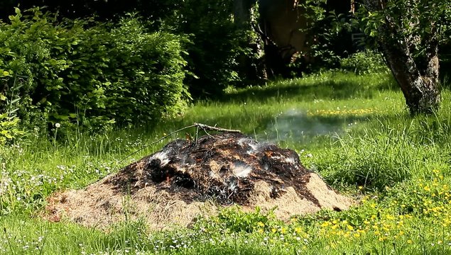 feu et jardinage 2